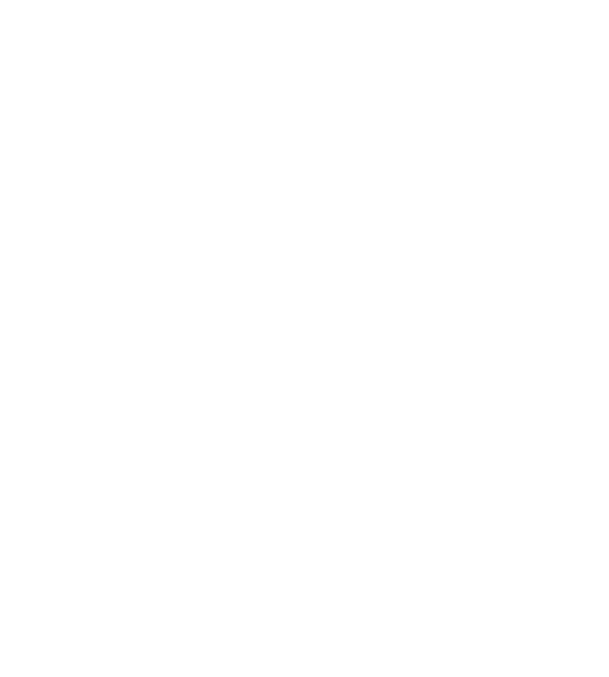 遥か古の時より、この世は二つのタロットカードに支配されてきた

				罪なき人間の魂を食らい、
				それを糧として数々の不幸を引き起こす悪魔のタロット
				「ディアボロス・タロット」
				
				そして、それに対抗するのは自然の力を根源とする
				「エレメンタル・タロット」
				
				22の血族から選ばれた少女たちは
				エレメンタル・タロットの使い手となり、人知れず闘いに身を投じる
				
				世界のバランスを維持するために
				
				耐えがたき罪悪感を抱えながら
				
				処刑人か、救世主か―――
				
				これは、
				逃れられない運命を背負った少女たちが繰り返す、
				永い永い闘いの物語です―――